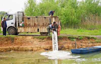 咸安区投放30万尾鱼苗 改善水域生态环境