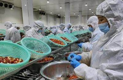 黄梅小龙虾“蹦”向全国大市场，去年产量位居全省第六