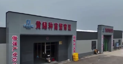 我省黄鳝产业技术研究院在仙桃揭牌