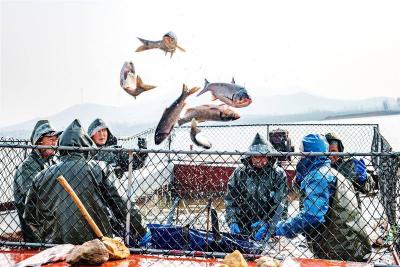 2024年一季度我省水产品市场价格稳中有涨