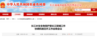 长江水生生物保护暨长江禁捕工作协调机制召开工作会商会议