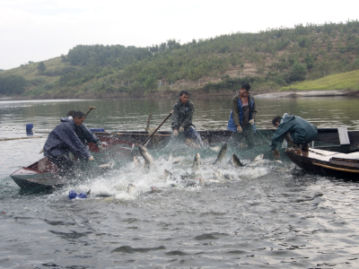 随州：大力推进水产绿色健康养殖新模式