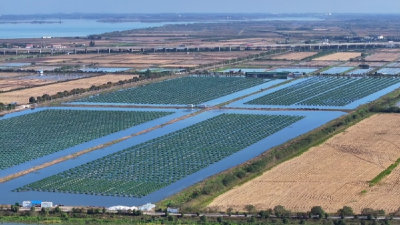 江夏：“一田三收”，拓宽致富“稻”路