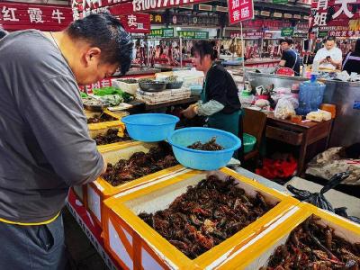  樊城：小龙虾破价上市 稻虾共作保民收