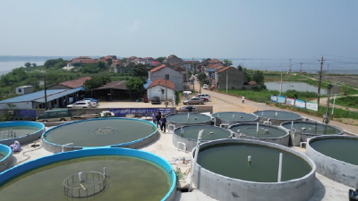 山坡街：探索农业新路径 激发乡村新活力