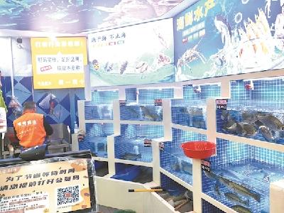 新一季养殖期开启淡水鱼储备量相对下降 在武汉近期吃鱼可能要多花点钱了