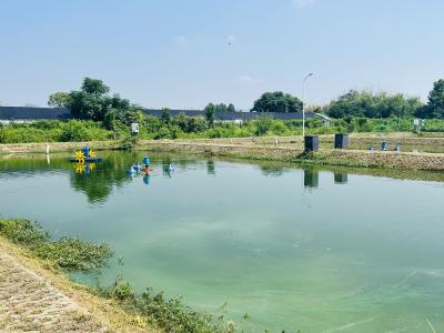 2024年5月水产养殖病害预测预报