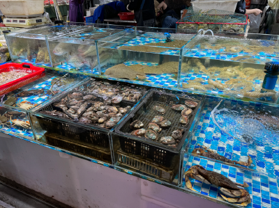 授之以鱼更授之以渔—— 让现代渔业富“甲”一方