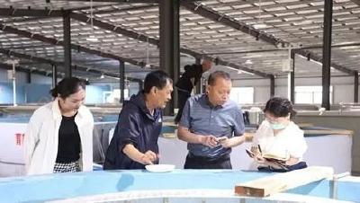 “倔”鳜鱼“改口”了！鄂西北首次鳜鱼苗本土化人工繁育大获成功