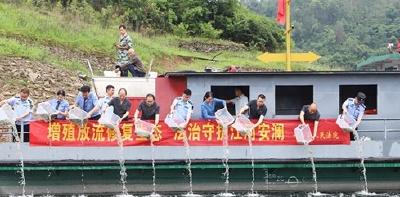 湖北竹山以增殖放流补过 55万尾鱼儿安家圣水湖