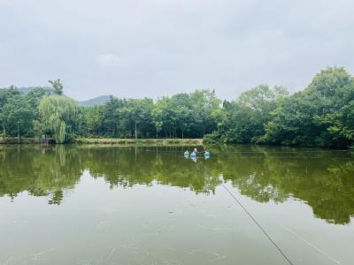 湖北加强夏季高温水产养殖生产管理 确保水产品市场供应有序