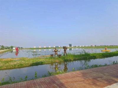 国内首单“小龙虾高温指数保险+衍生品”产品落地湖北荆州