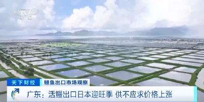 “鳗”不住了！一吨涨价2万元！又一中国“特产”出口火爆