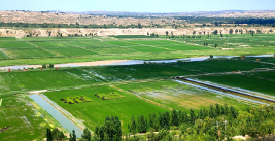 陕西横山：“虾蟹” 共舞促增收 生态养殖打造特色品牌！