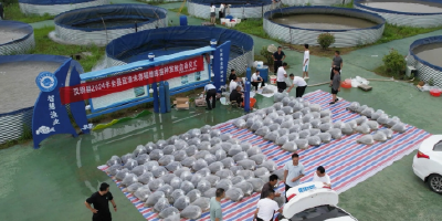 陕西汉阴集中发放20万尾鱼苗 助力生态渔业发展