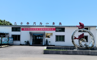 彭泽鲫：一条鱼 “游” 出大产业