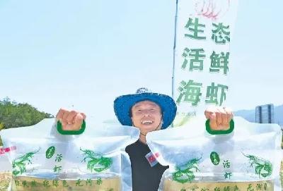 养虾不换水、种菜不施肥！海鲜+蔬菜’共生循环系统，为何这么好？