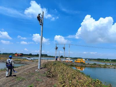 塘边送来致富电，电足鱼肥村民乐