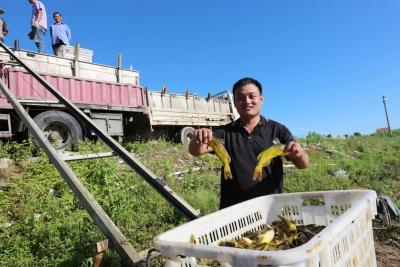 鄂北岗地育黄颡养锦鲤 枣阳小伙特色养殖年利润超百万元