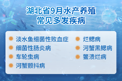 @水产养殖户 9月水产养殖病害预测预报请查收