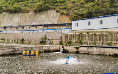 智慧养殖助力贵州鲟鱼出山