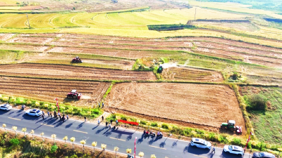 孝昌季店：油菜种植忙 绘就好“丰”景