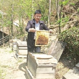 青春AI大地|付先明：“蜂”生水起兴乡村