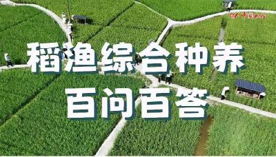 相比于水稻单作 稻渔综合种养生产是否会消耗更多水资源？