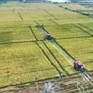 小农机何以“挑大梁”？