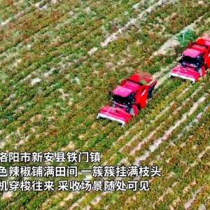 数智赋能建种管收 孕育“火红”丰收景