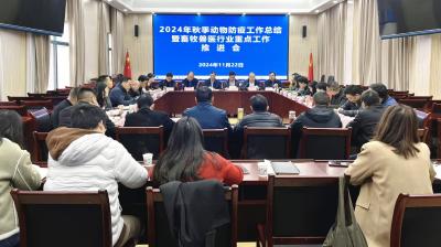 夷陵：召开2024年秋季动物防疫工作总结暨畜牧兽医行业重点工作推进会