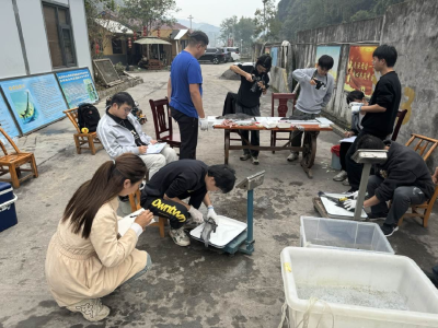 宜昌：做好肥鱼大文章 打造美食“国际范”