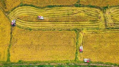 紧盯涉农补贴落实 守护秋收好“丰”景