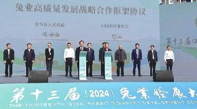 经济亮点 城市名片 阳光产业——第十三届兔业发展大会在奉节举办