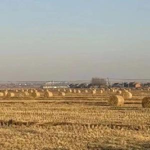 吉林：小秸秆做成大产业