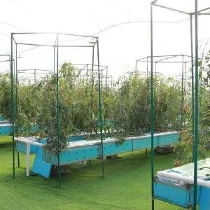 大棚鱼塘接入物联网 武汉智慧农业新潮涌动