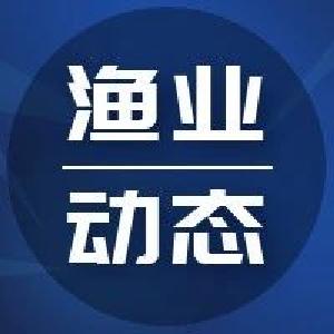 时隔4年！中澳恢复“澳龙”贸易