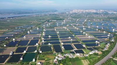 宜昌：“四举措”精准发力，激活渔业冬季生产新动能