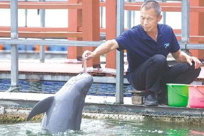 长江三大珍稀濒危物种安居湖北