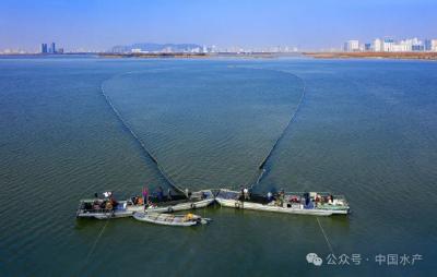大水面生态增养殖渔业典型案例•4 | 昆承湖增殖渔业