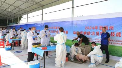 利川：“强化、紧盯、推进” 三步走 筑牢动物防疫屏障