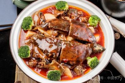 “渔”你分享 | 美食五味肉 冬季滋补首选 —— 甲鱼
