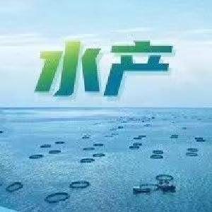 我省1-10月水产品市场行情稳定 虾鳝企稳回升