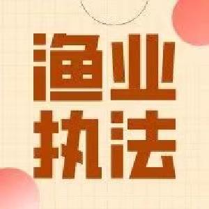 21人落网！太湖渔政成功破获一起特大非法捕捞水产品犯罪窝案