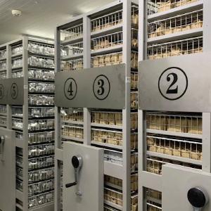 种质资源保护利用取得新突破