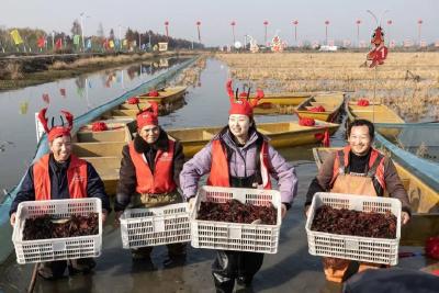 第一筐冬虾卖出4800元 首届“潜江龙虾”冬捕活动火热开幕
