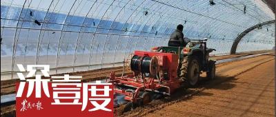 设施蔬菜生产“机器换人”还有几道坎？