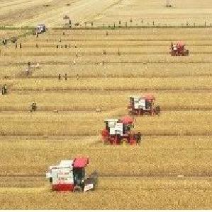推进大宗粮食智能绿色保质烘储新技术新装备落地见效