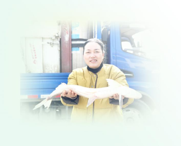 自学养鳜鱼，技巧传乡邻