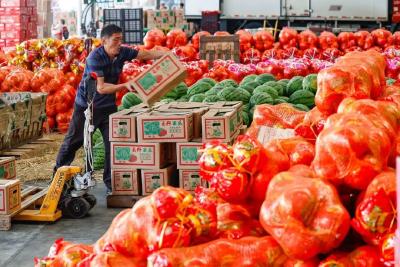 资源唤醒 产业觉醒 孝感实现“10万元村”全覆盖